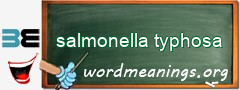WordMeaning blackboard for salmonella typhosa